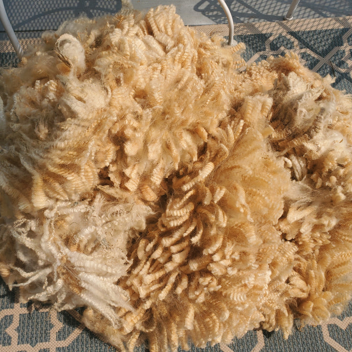 Raw Fleece - White (Finny) F100