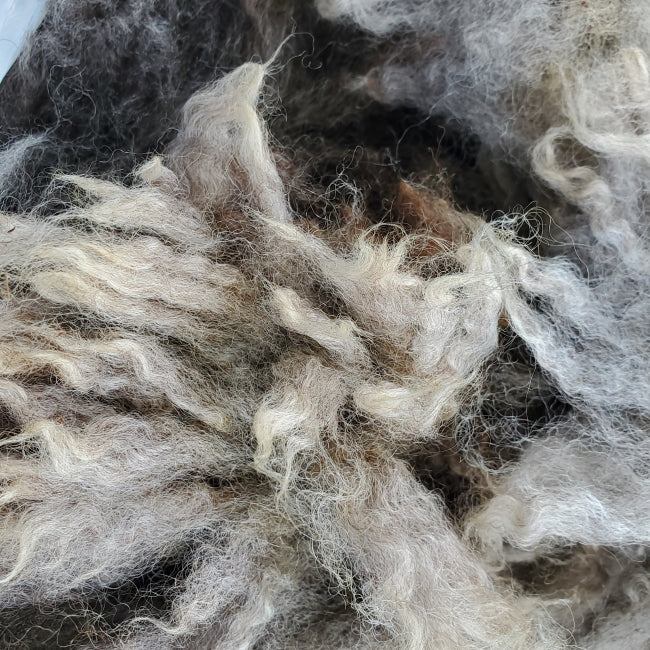 Raw Fleece - Light Gray/Brown (Amazing Larry) F102 (Available on our ETSY SHOP)