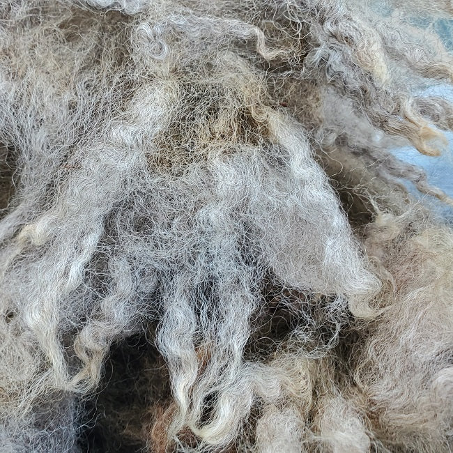 Raw Fleece - Light Gray/Brown (Amazing Larry) F102 (Available on our ETSY SHOP)