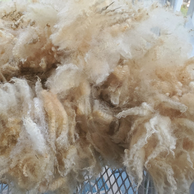 Raw Fleece - White (Koriand'r) F103 (AVAILABLE ON ETSY CURRENTLY)