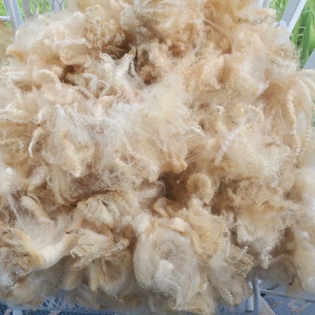 Raw Fleece - White (Koriand'r) F103 (AVAILABLE ON ETSY CURRENTLY)