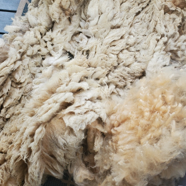 Raw Fleece - White (X) F104